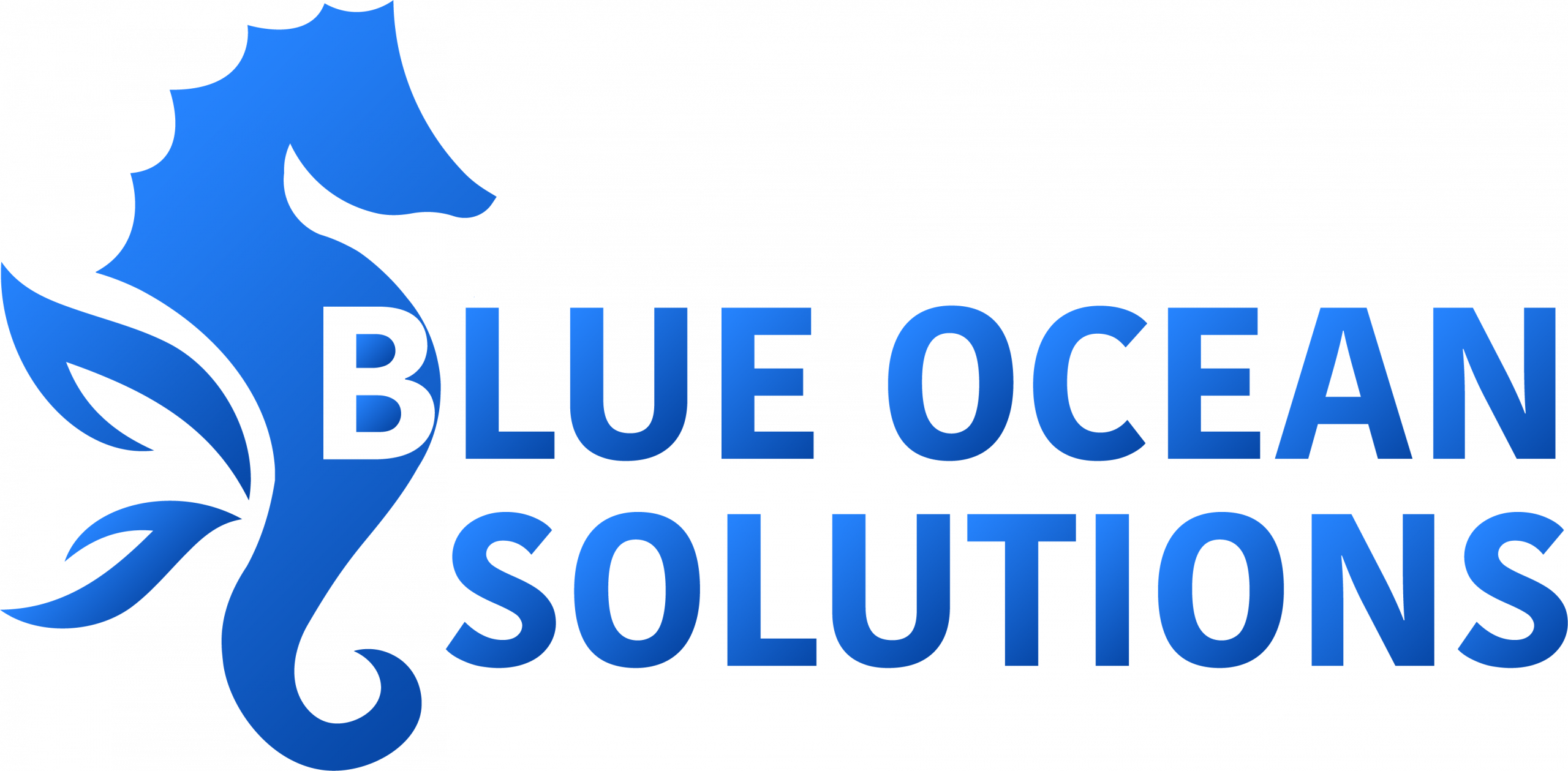 Blue Ocean Solutions